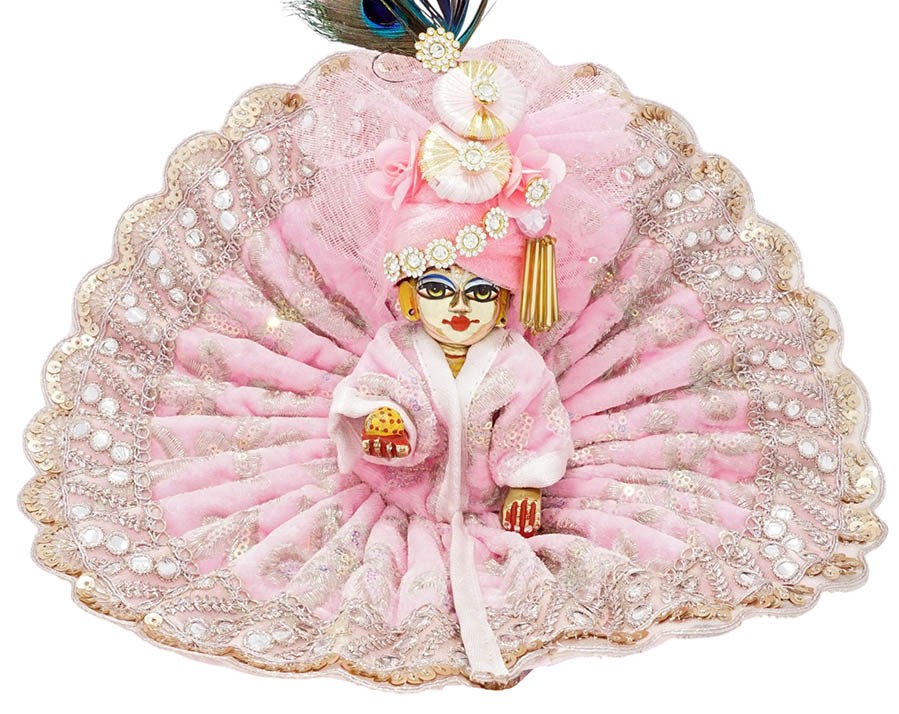 Laddu Gopal Pink Embroidery Sitara Lace Shaneel Dress